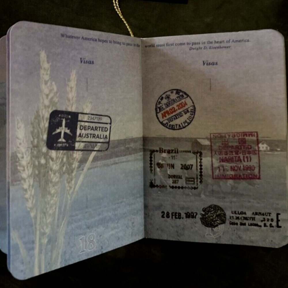 USA SANTA Passport Christmas Ornament ~ Realistic * World Travel ~ Wondershop - Picture 8 of 8